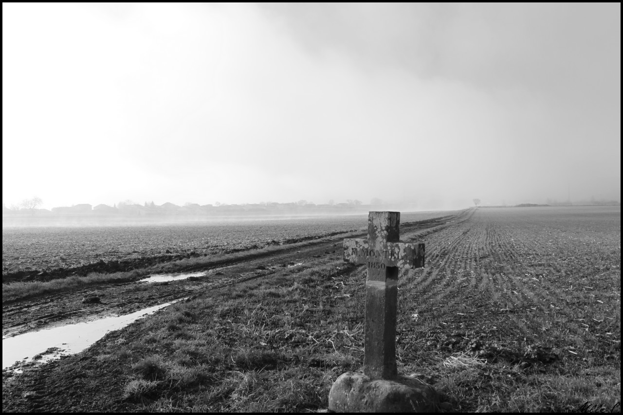 Fonds d'cran Nature Champs - Prairies 