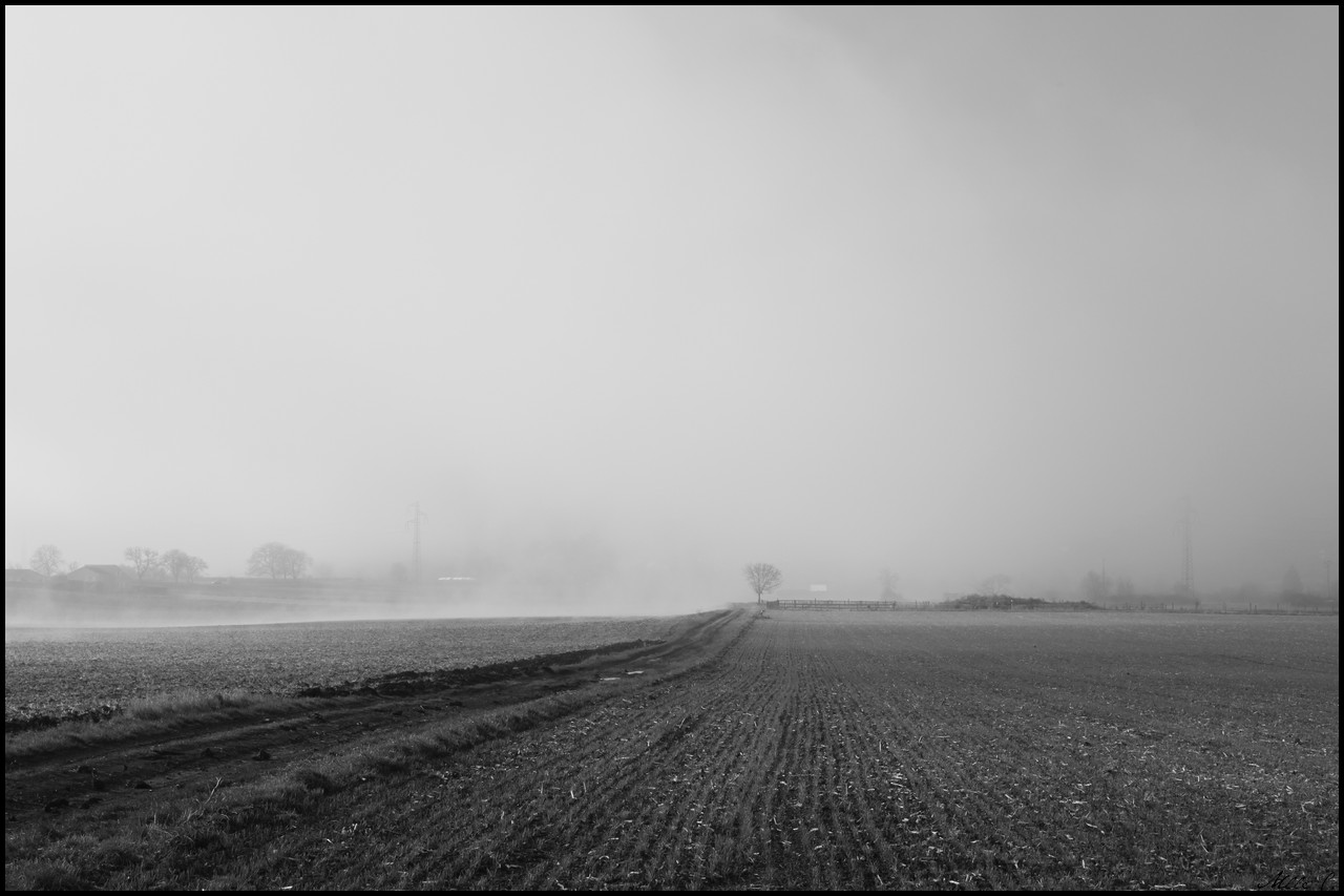 Fonds d'cran Nature Champs - Prairies 