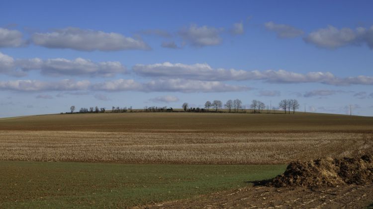 Fonds d'cran Nature Campagne Fin d'hiver sur le Mont Corey