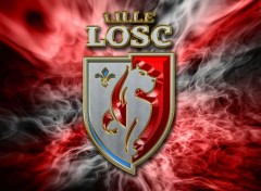  Sports - Leisures Lille Osc