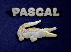  Digital Art Pascal Lacoste