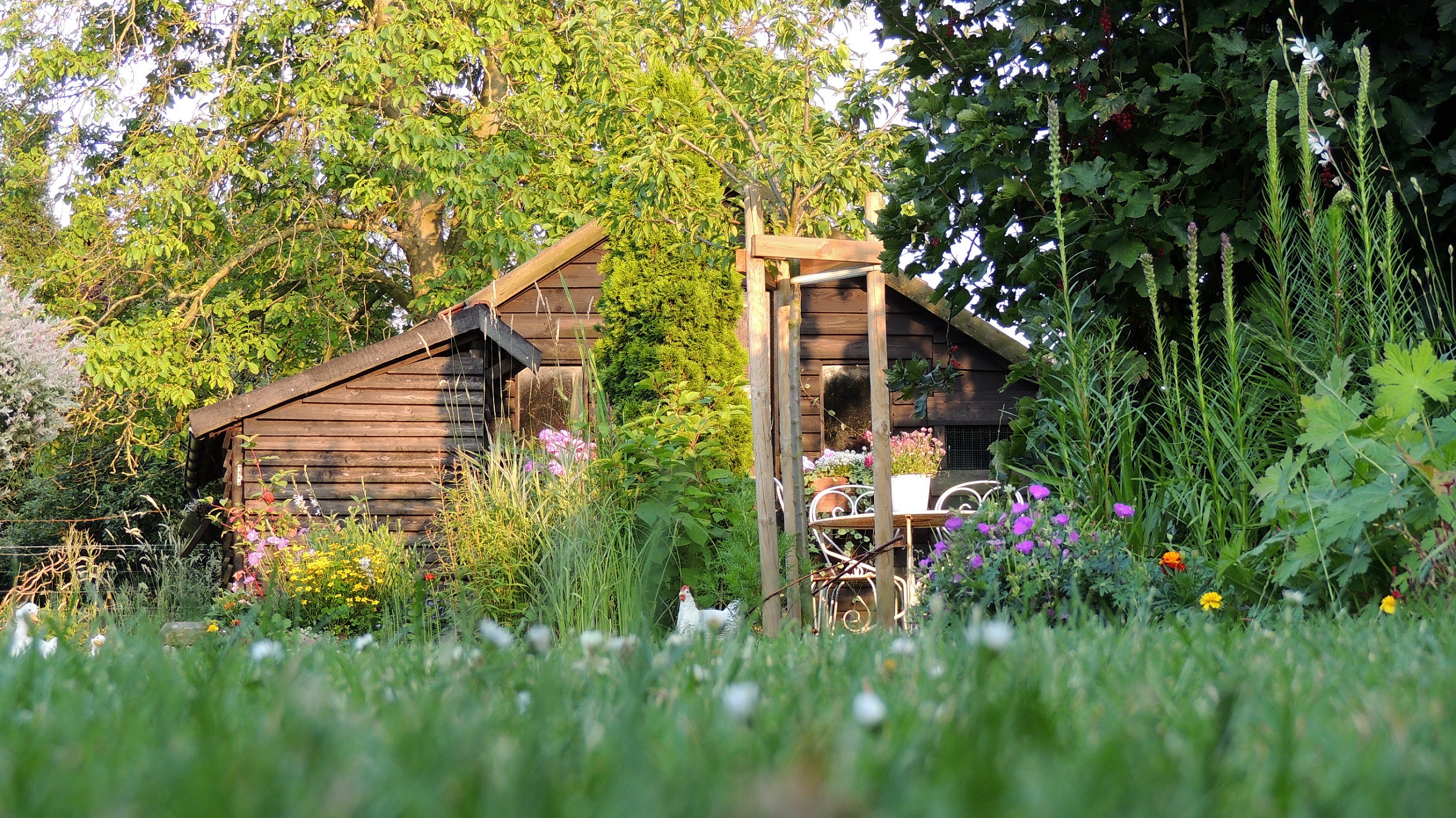 Fonds d'cran Nature Parcs - Jardins Jardin