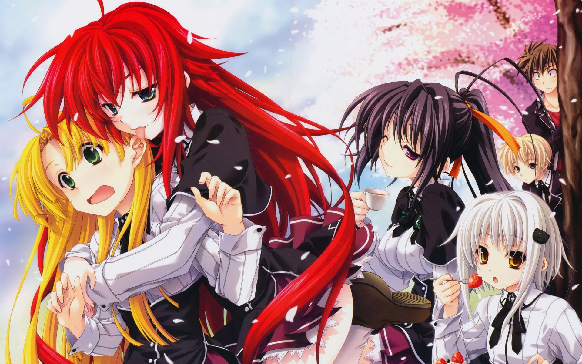 Fonds d'cran Manga High School DxD 