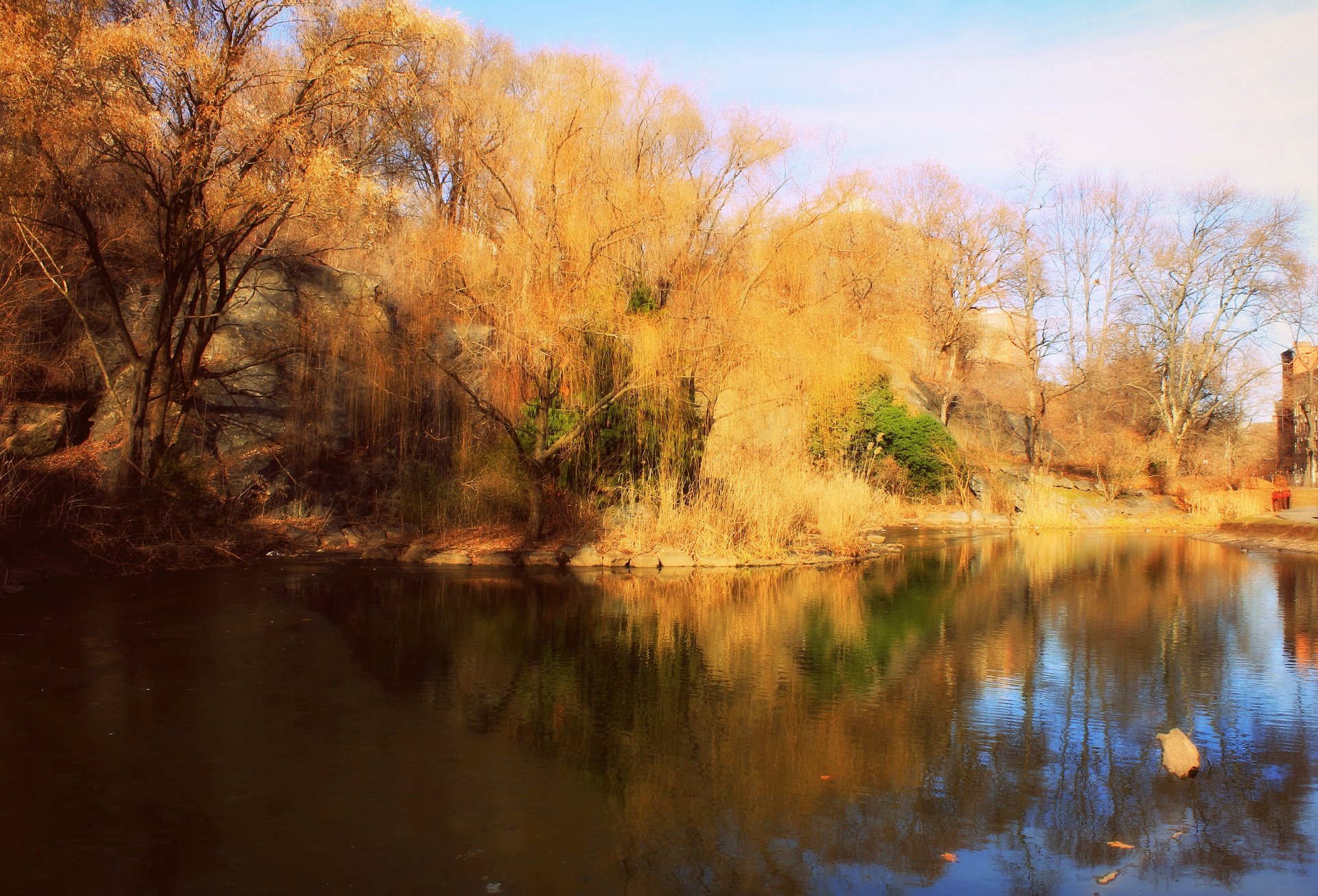 Wallpapers Nature Lakes - Ponds Etang New York