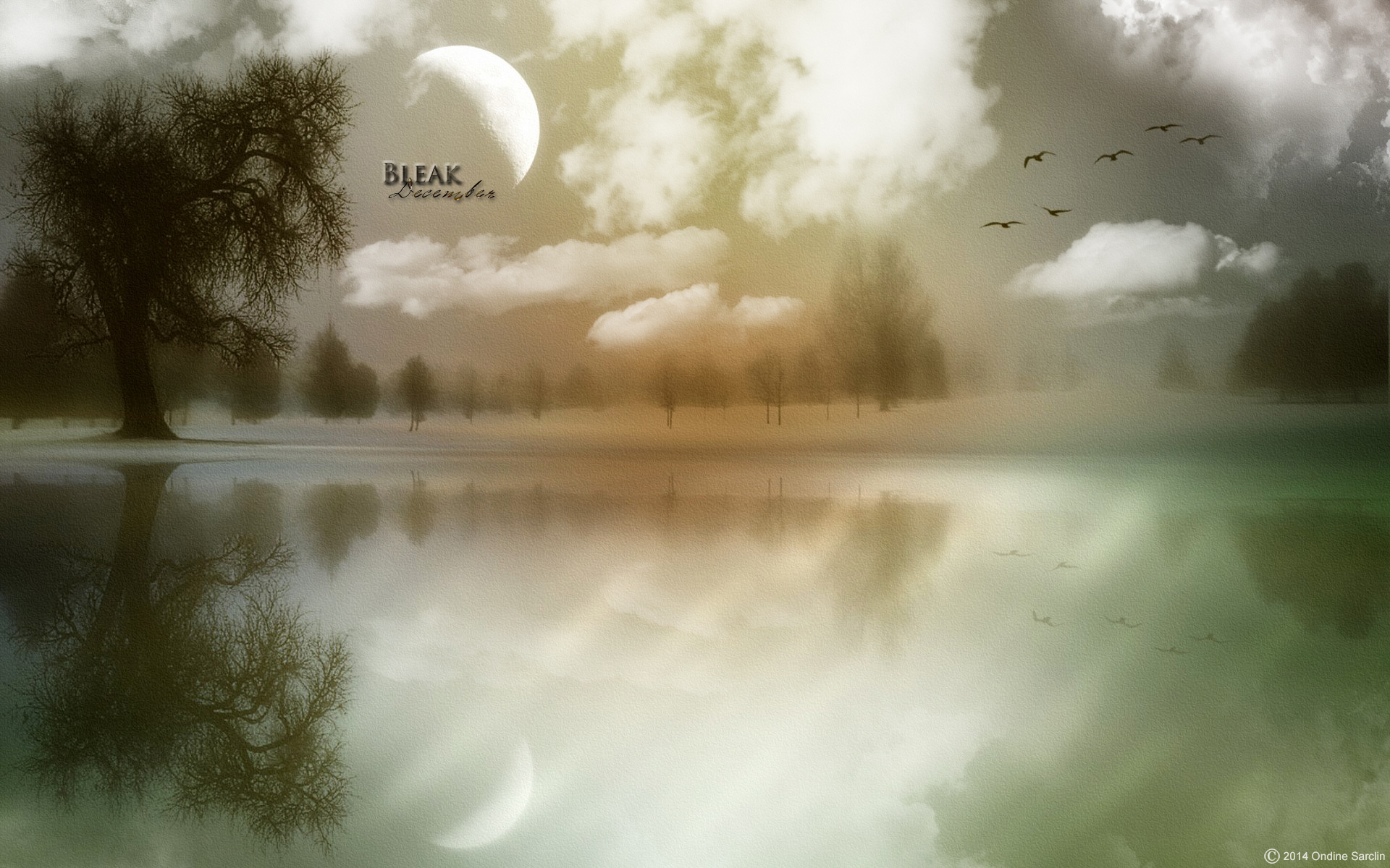 Wallpapers Digital Art Nature - Landscapes Bleak December