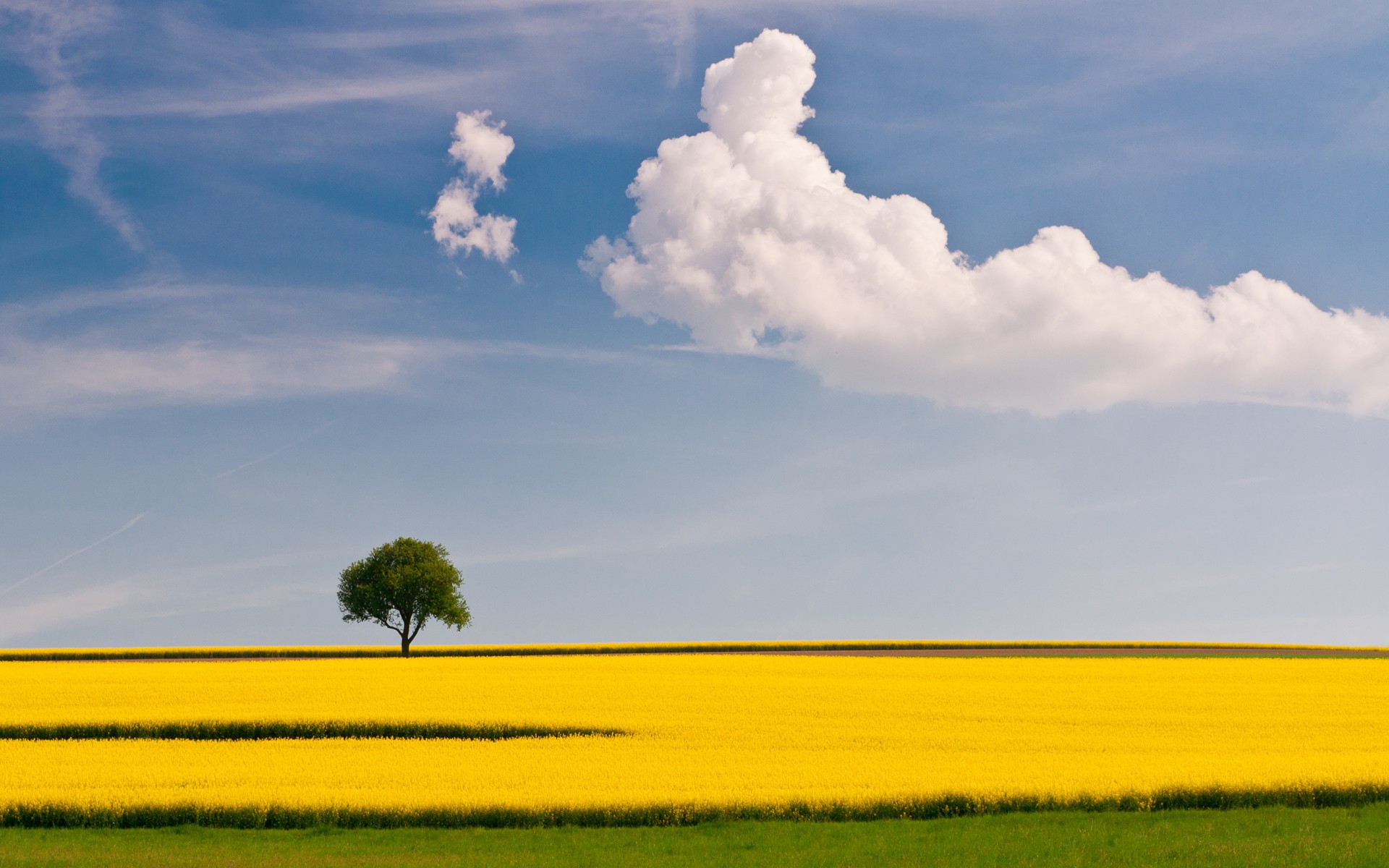 Fonds d'cran Nature Champs - Prairies 