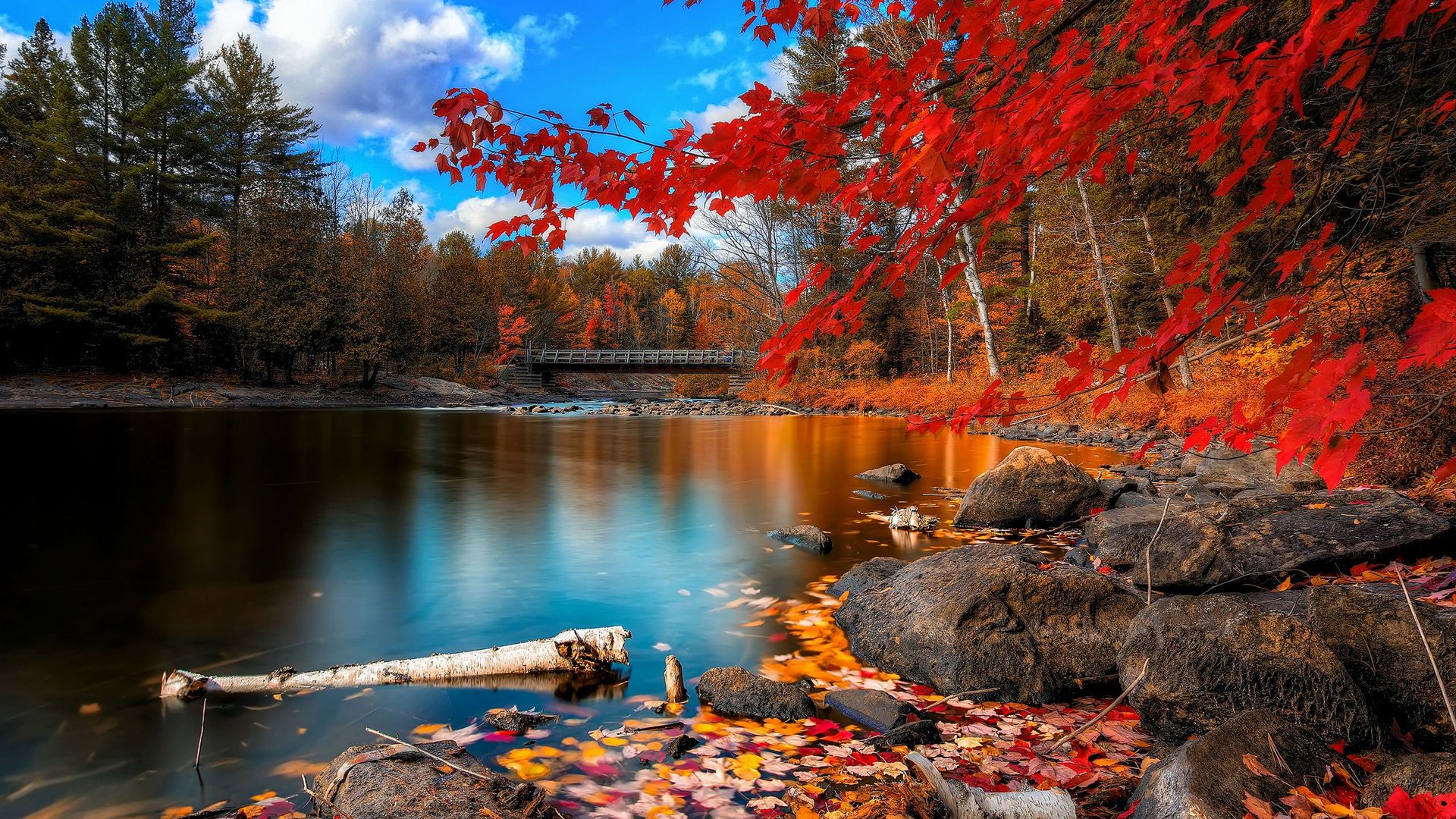 Wallpapers Nature Seasons - Fall 