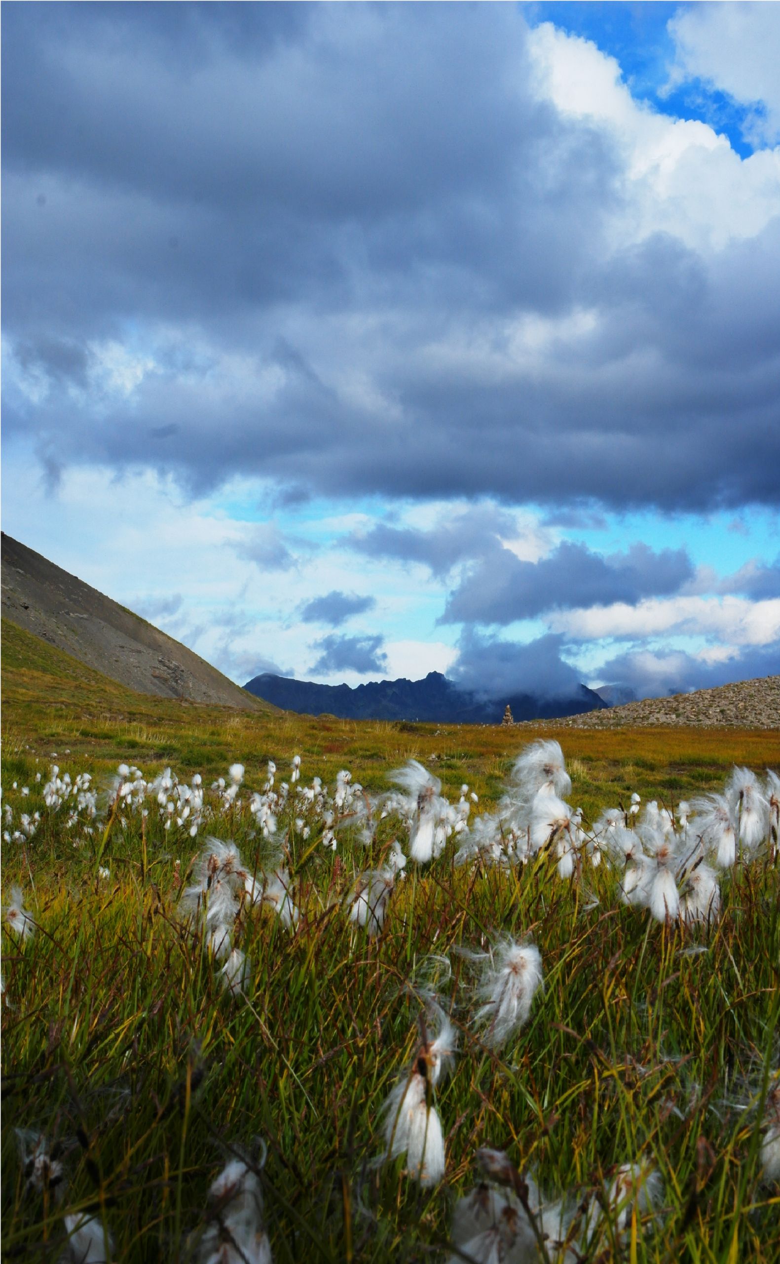 Wallpapers Nature Fields 