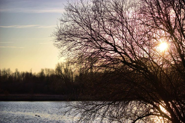 Fonds d'cran Nature Lacs - Etangs paysage,arbres,roches