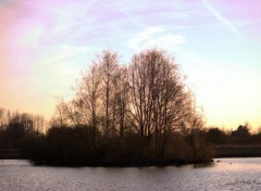  Nature paysage,arbres,roches