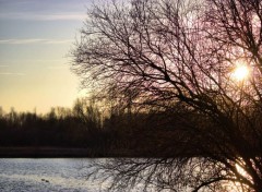  Nature paysage,arbres,roches