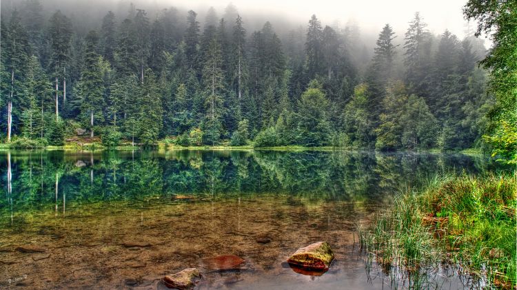 Fonds d'cran Nature Lacs - Etangs lac de lamaix 