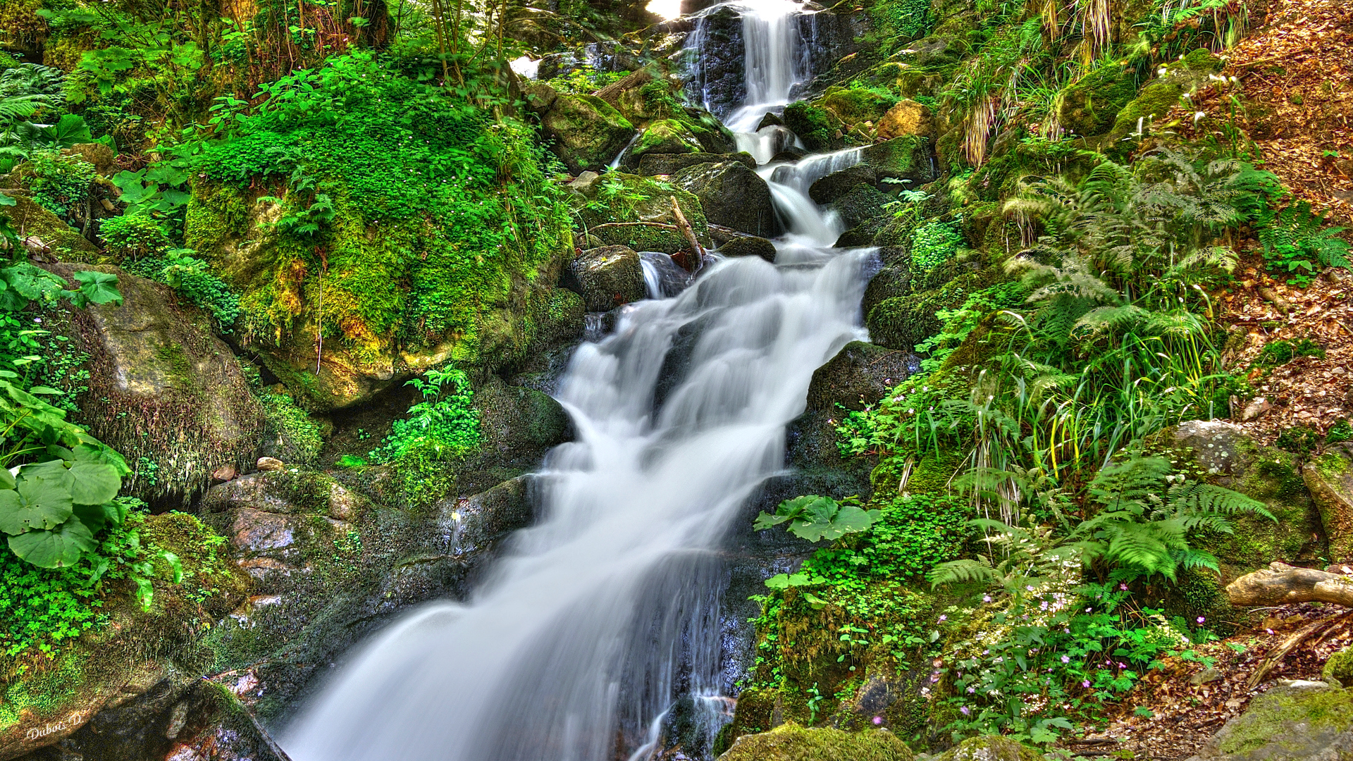 Fonds d'cran Nature Cascades - Chutes au fil de l'eau 