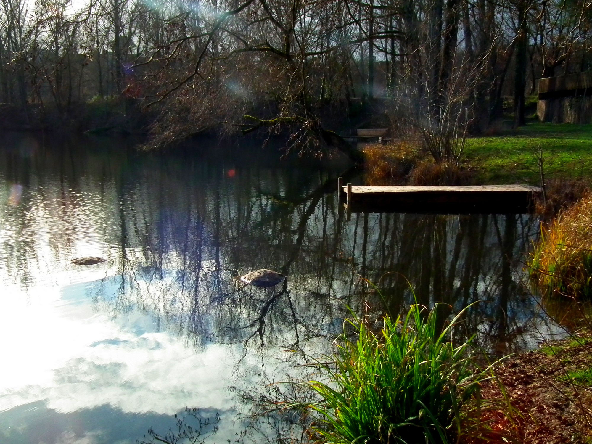 Wallpapers Nature Lakes - Ponds 