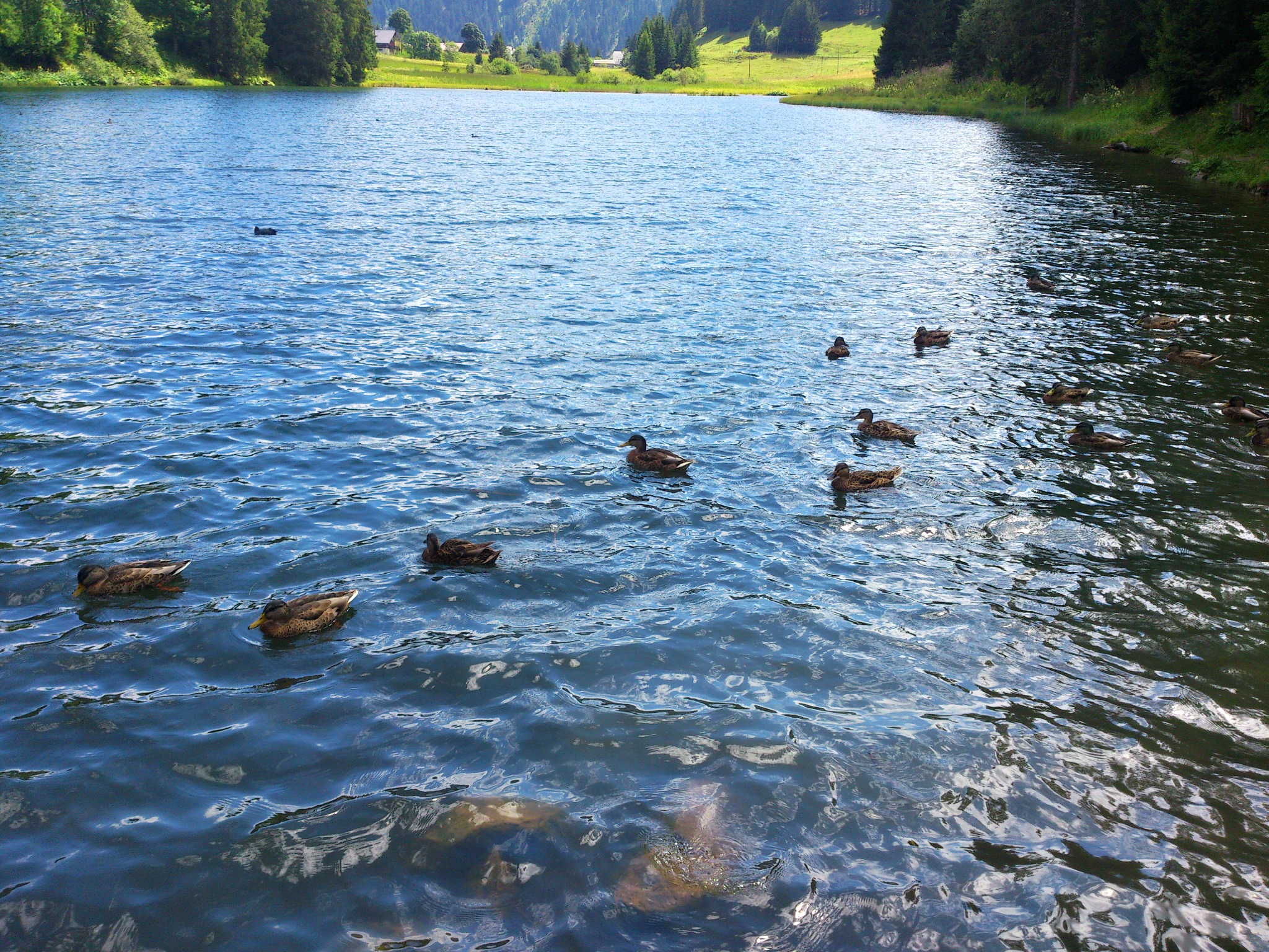 Fonds d'cran Nature Lacs - Etangs lac