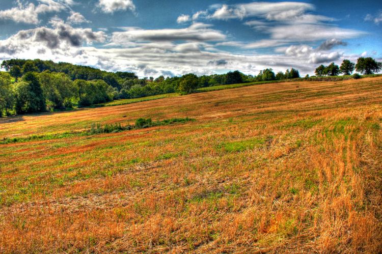 Wallpapers Nature Fields champs