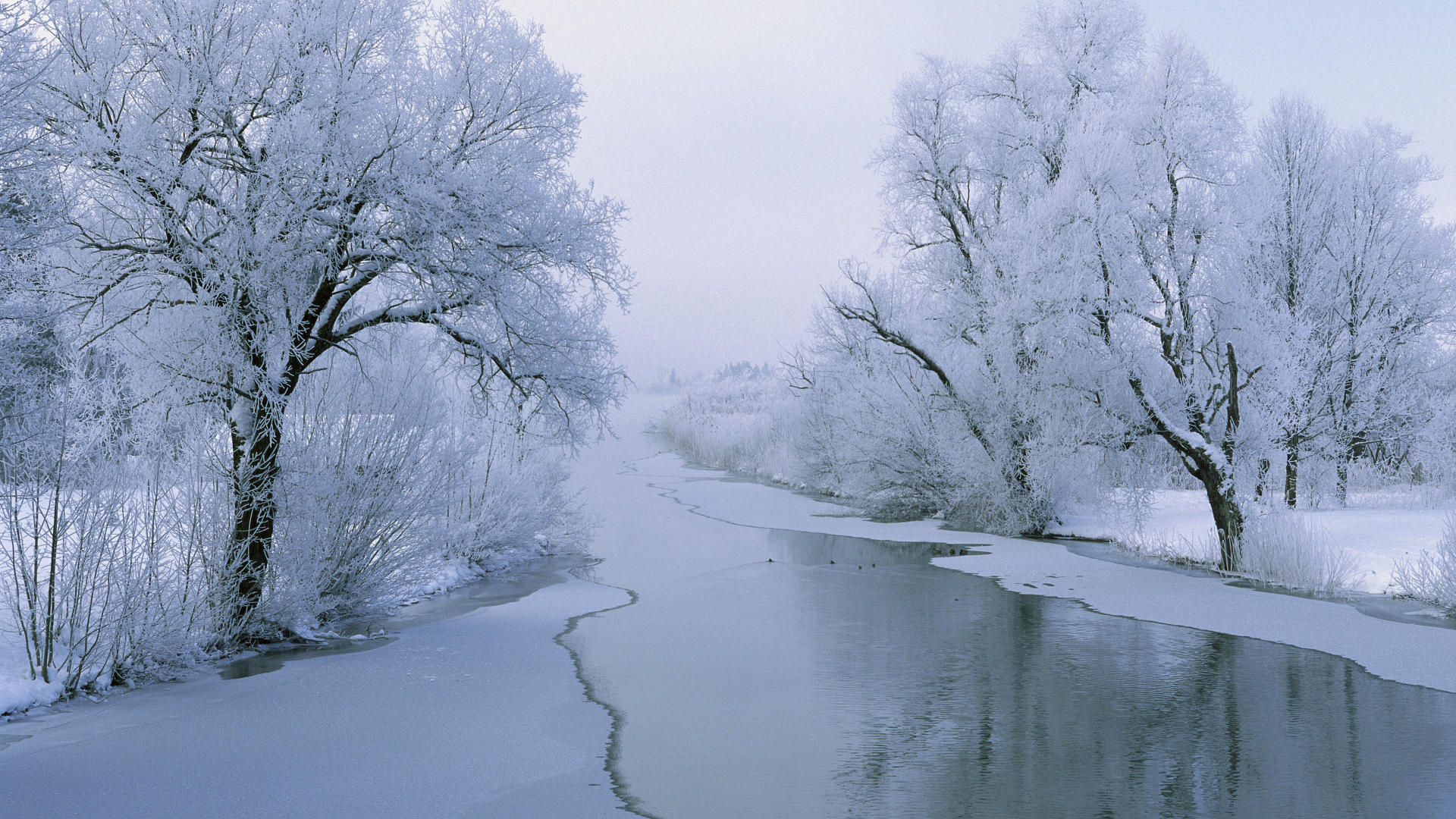 Fonds d'cran Nature Saisons - Hiver 