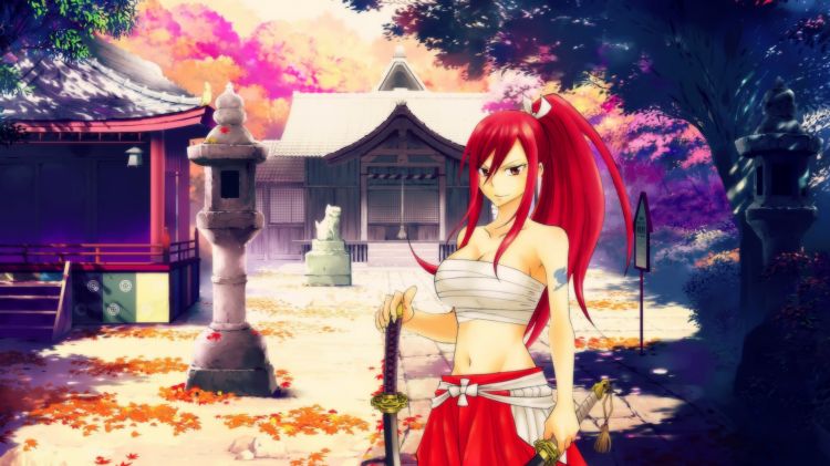 Wallpapers Manga Fairy Tail Erza Scarlet - Titania