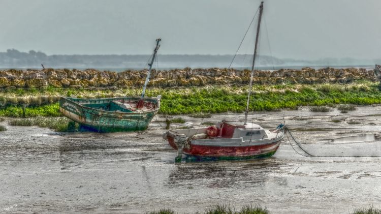 Fonds d'cran Bateaux Epaves mare basse