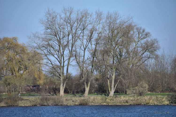 Fonds d'cran Nature Arbres - Forts Paysage