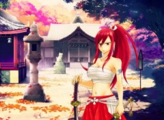  Manga Erza Scarlet - Titania