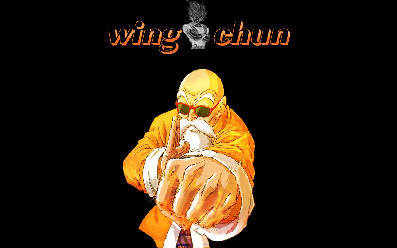 Fonds d'cran Manga Dragon Ball Wing chun