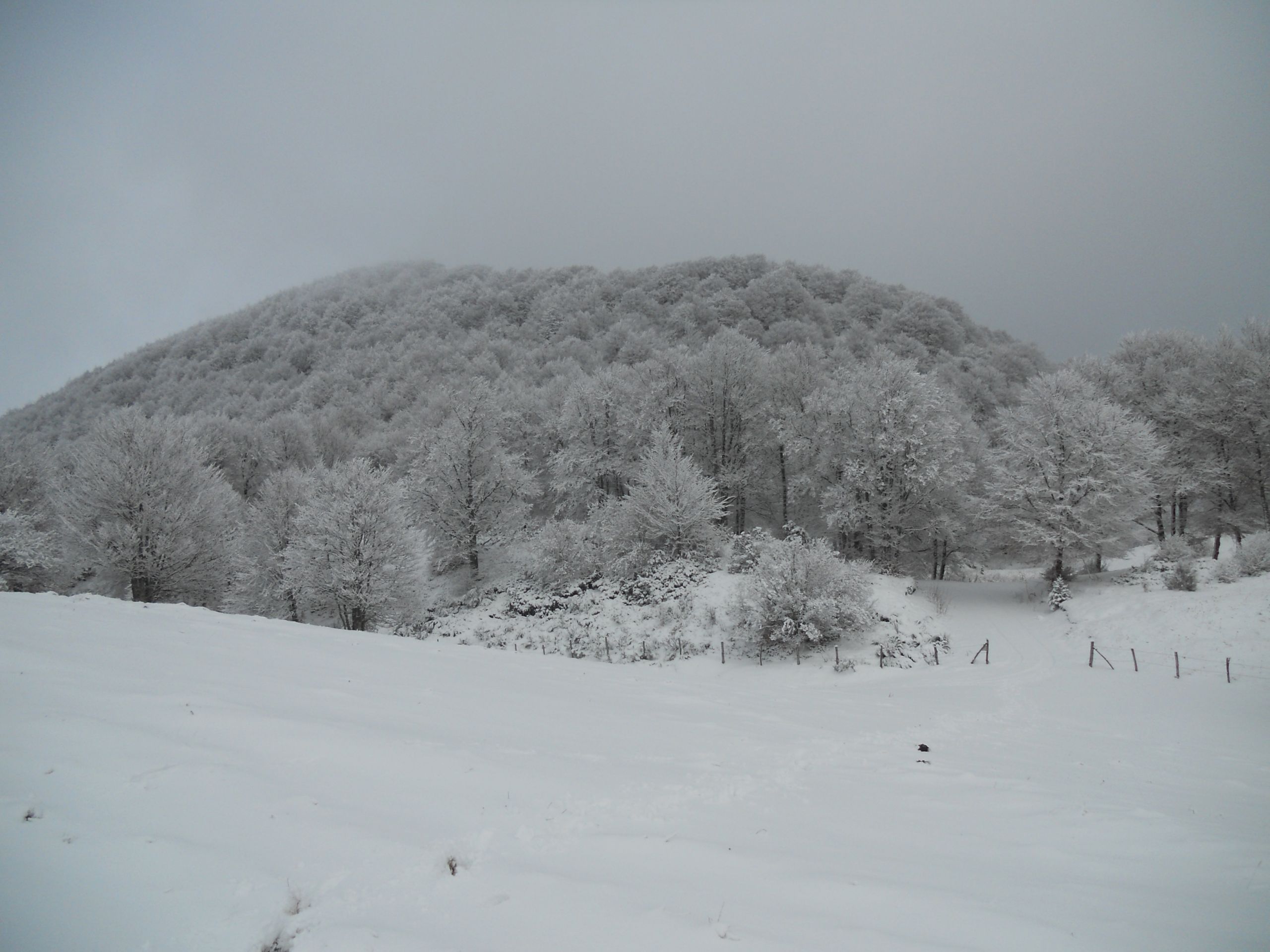 Fonds d'cran Voyages : Europe France > Auvergne Promenade hivernale en Auvergne 2013