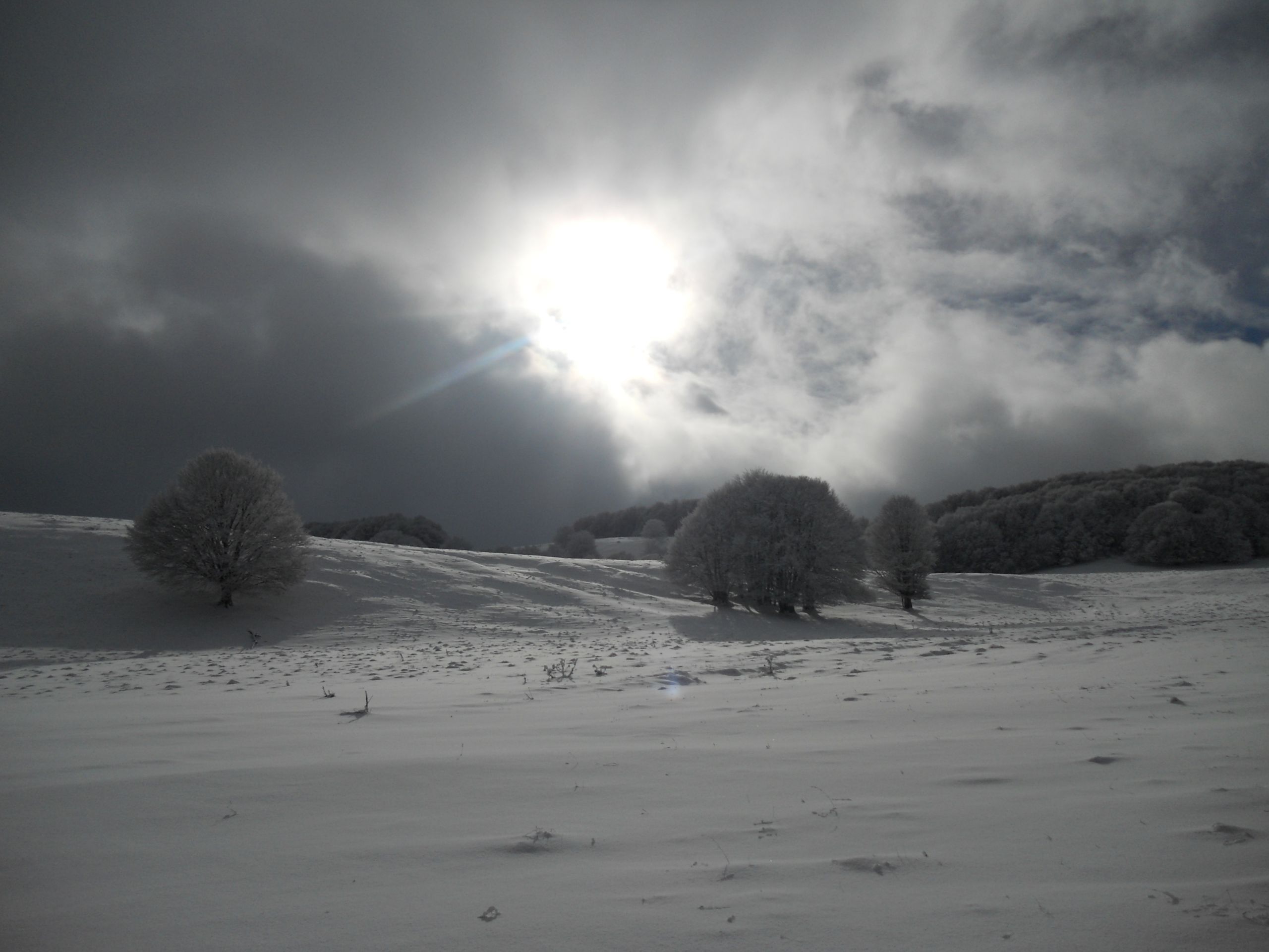 Wallpapers Trips : Europ France > Auvergne Promenade hivernale en Auvergne 2013