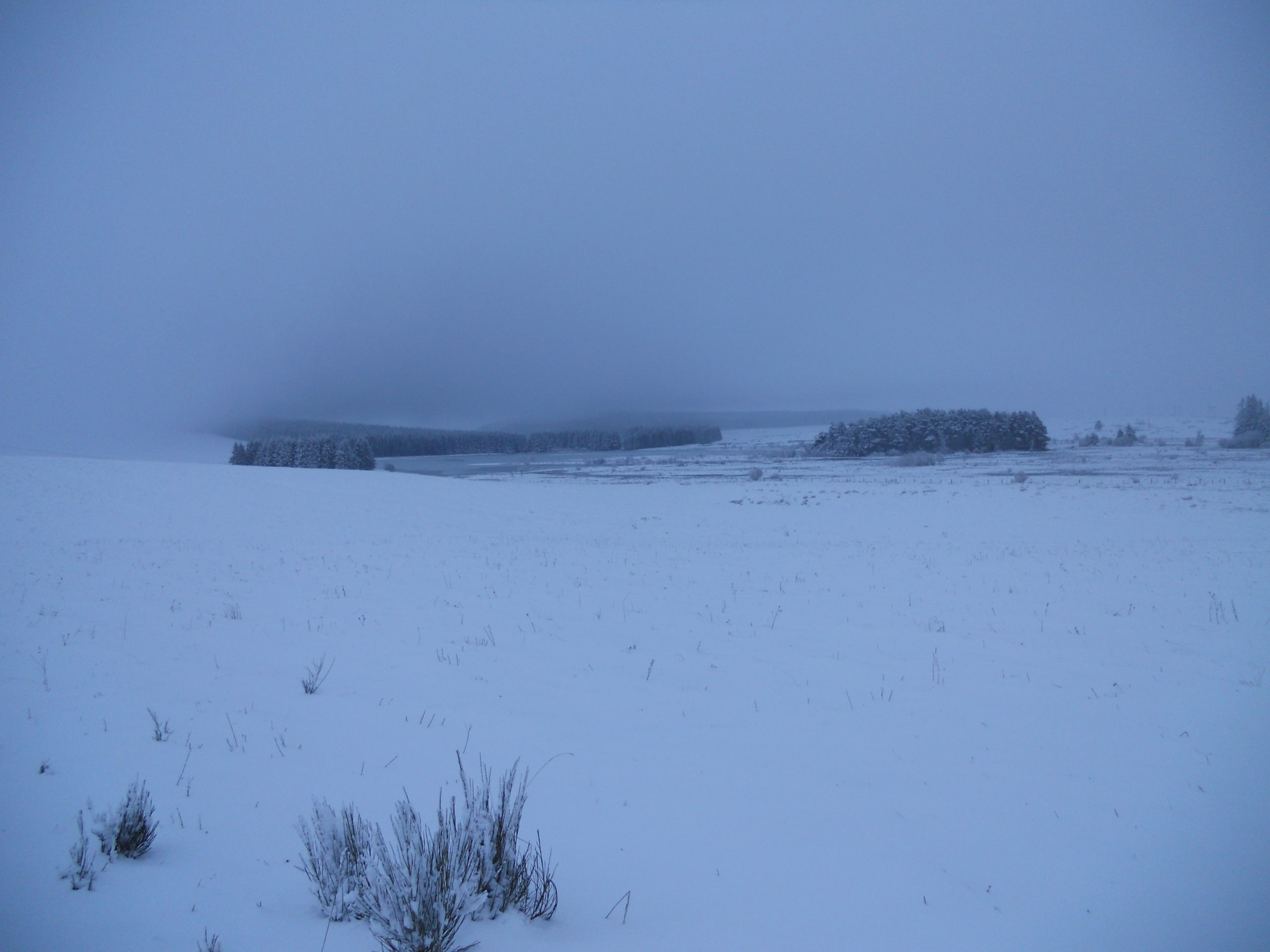 Wallpapers Trips : Europ France > Auvergne Promenade hivernale en Auvergne 2013