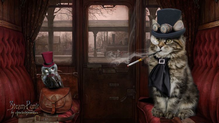 RÃ©sultat de recherche d'images pour "chat steampunk dessin"