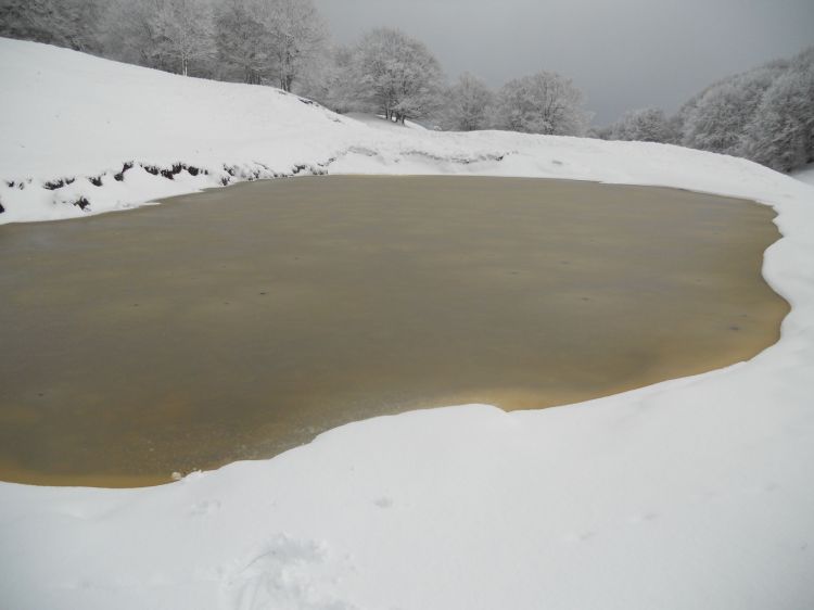 Wallpapers Trips : Europ France > Auvergne Promenade hivernale en Auvergne 2013