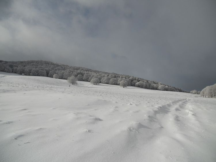 Wallpapers Trips : Europ France > Auvergne Promenade hivernale en Auvergne 2013