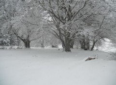  Trips : Europ Promenade hivernale en Auvergne 2013