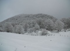  Trips : Europ Promenade hivernale en Auvergne 2013