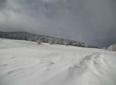  Trips : Europ Promenade hivernale en Auvergne 2013