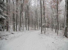  Trips : Europ Promenade hivernale en Auvergne 2013