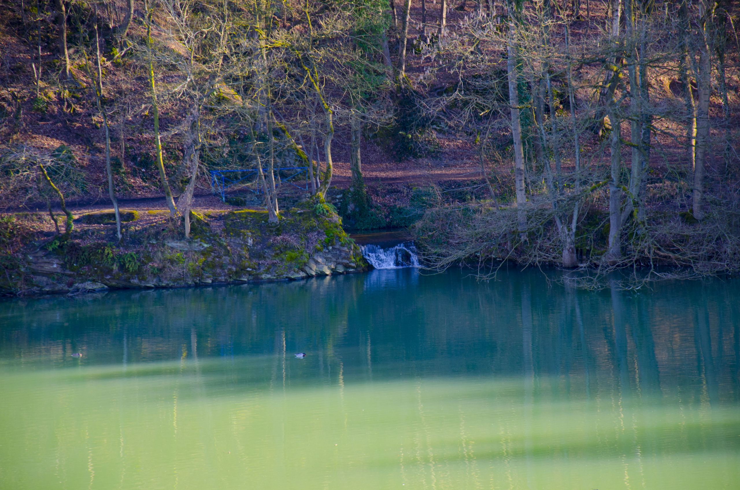 Fonds d'cran Nature Arbres - Forts 