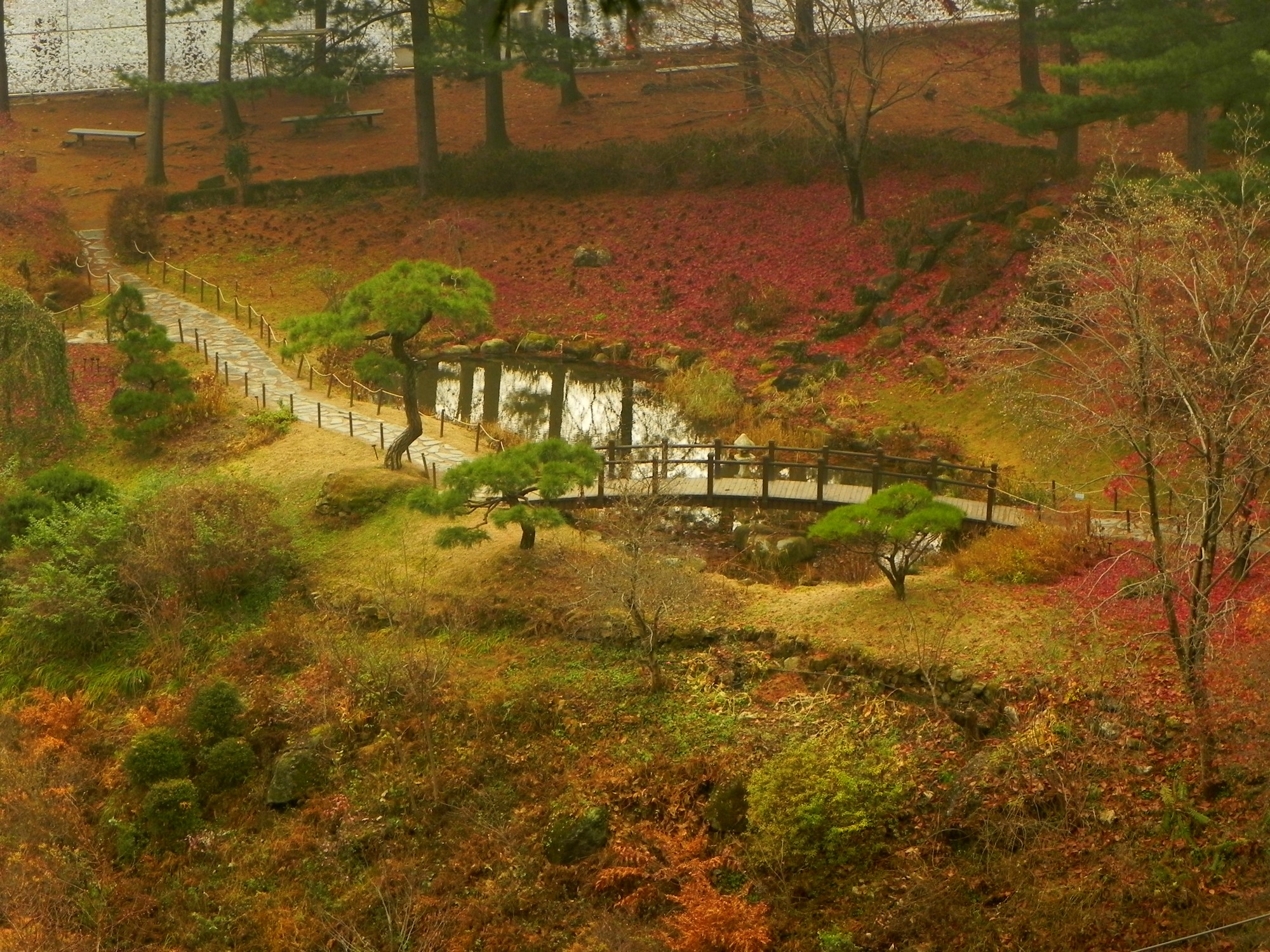 Wallpapers Trips : Asia South Korea Au Jardin du matin calme!^^