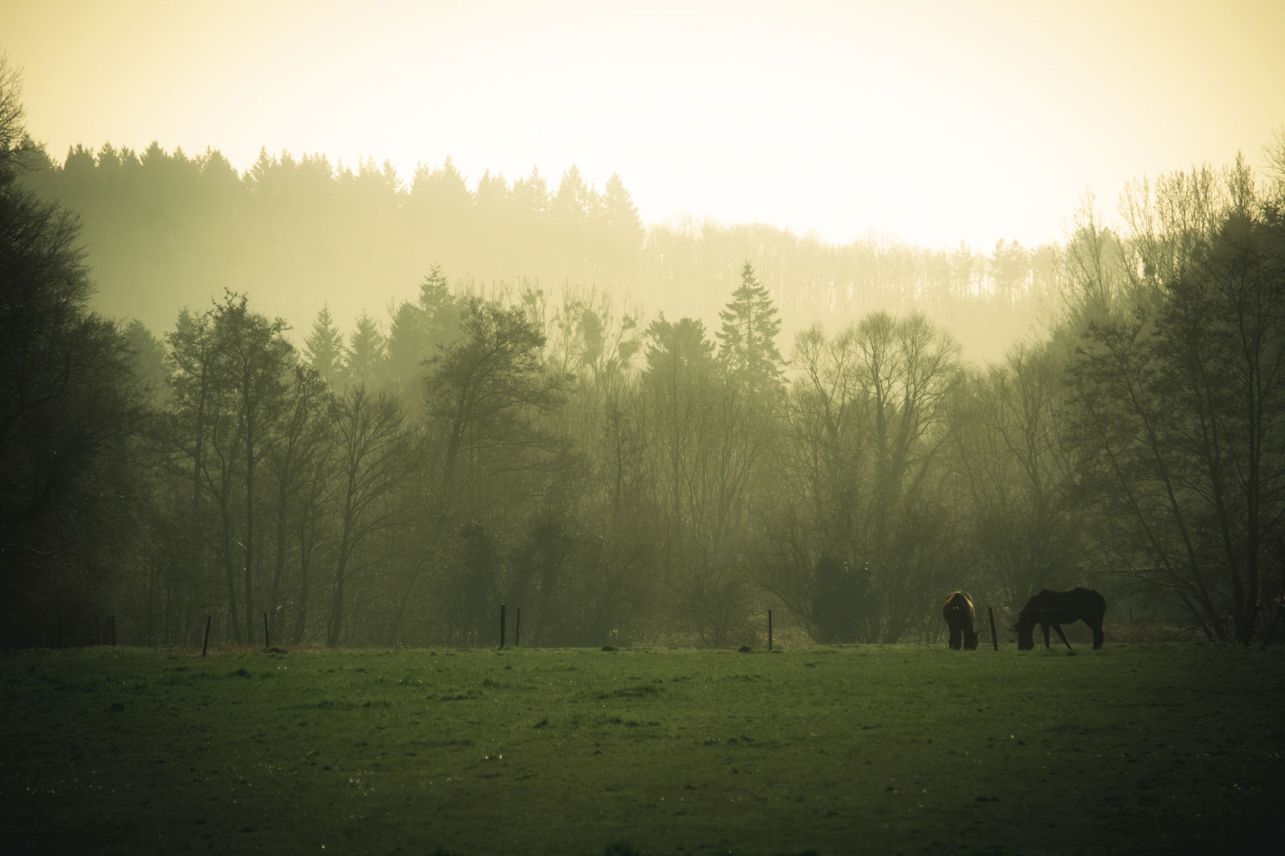 Fonds d'cran Nature Paysages vide motionnel...