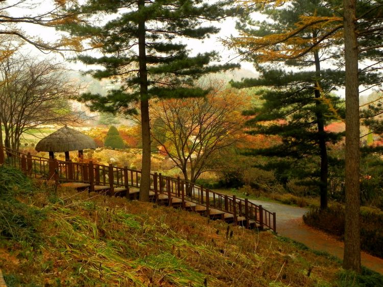 Wallpapers Trips : Asia South Korea Au Jardin du matin calme!^^