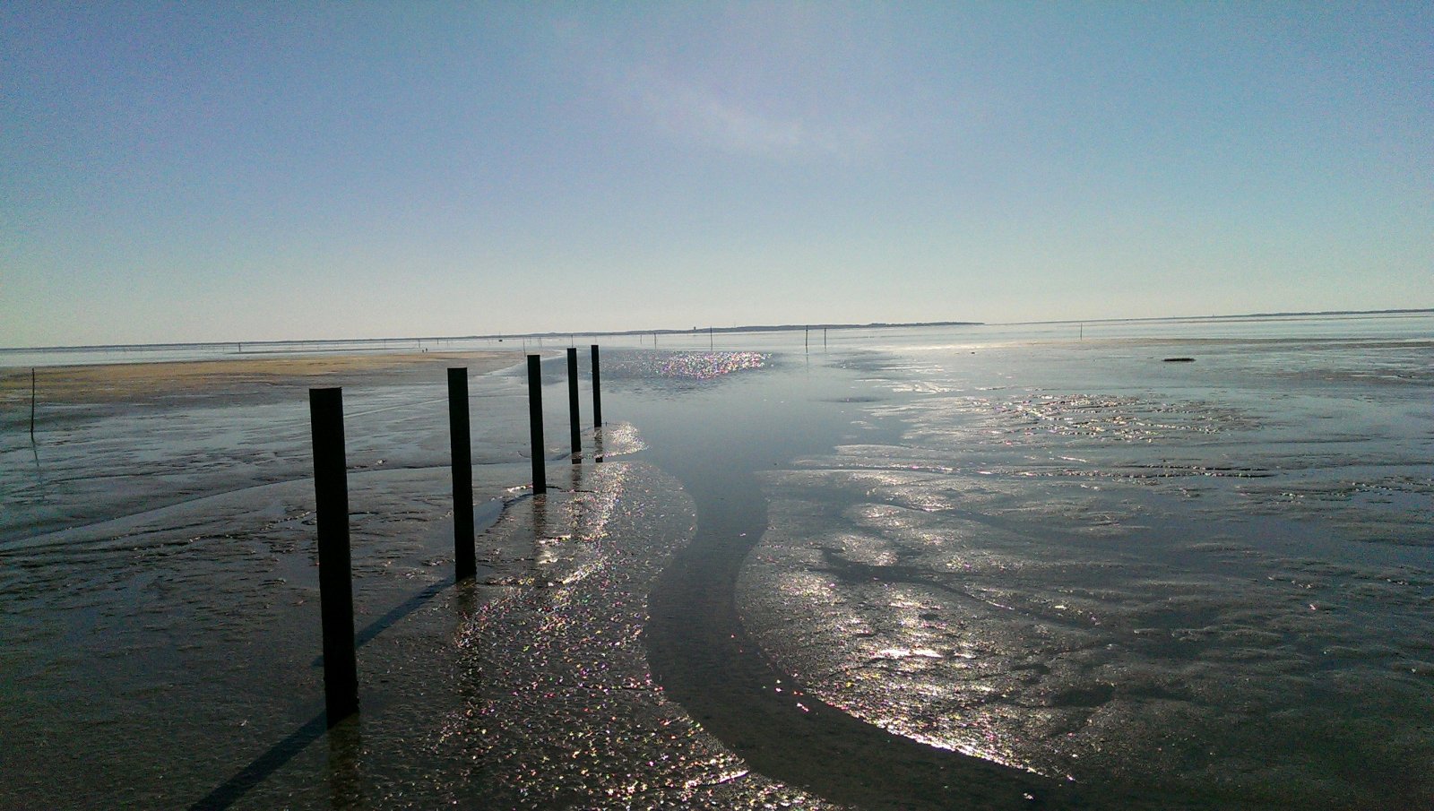 Fonds d'cran Nature Mers - Ocans - Plages Mare basse