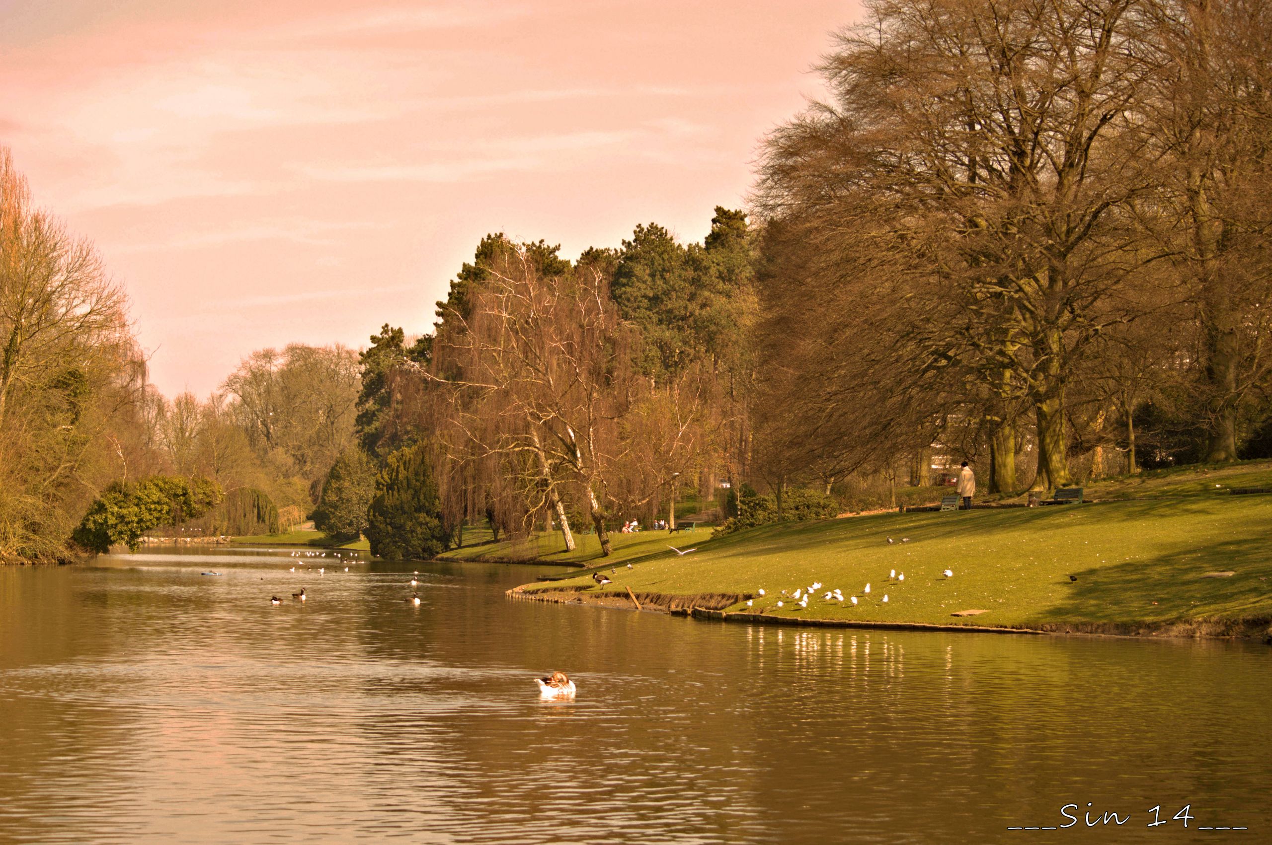 Fonds d'cran Nature Lacs - Etangs Arbres, paysage