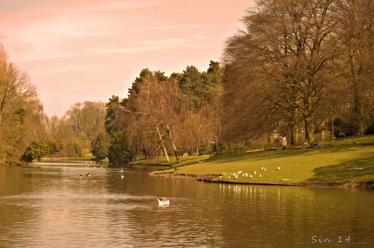 Fonds d'cran Nature Lacs - Etangs Arbres, paysage