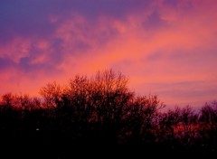  Nature de mon balcon