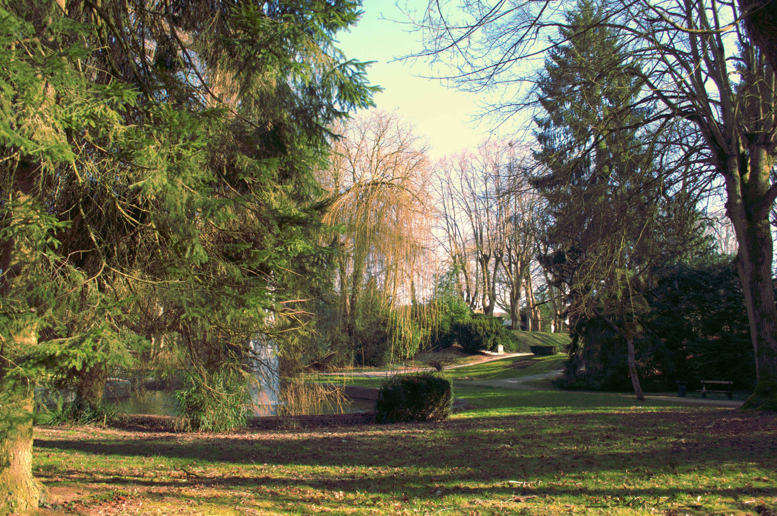 Fonds d'cran Nature Parcs - Jardins Parc du muse Matisse