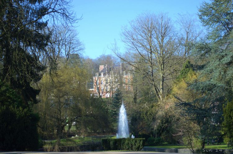 Fonds d'cran Nature Parcs - Jardins Parc du muse Matisse