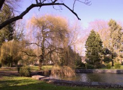 Fonds d'cran Nature Parc du muse Matisse