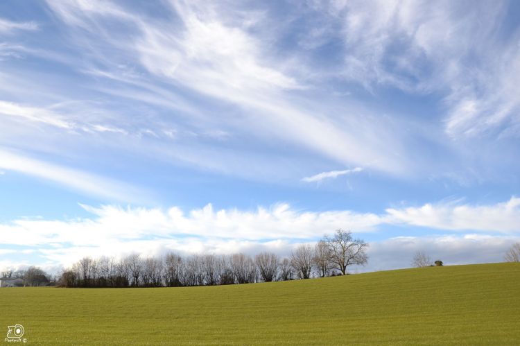 Fonds d'cran Nature Saisons - Printemps Paysage