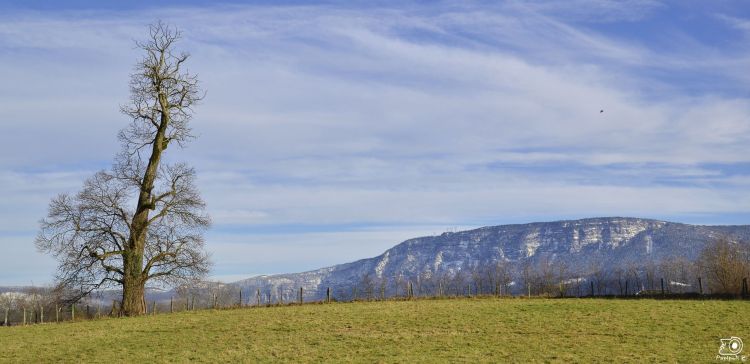 Fonds d'cran Nature Saisons - Printemps Paysage