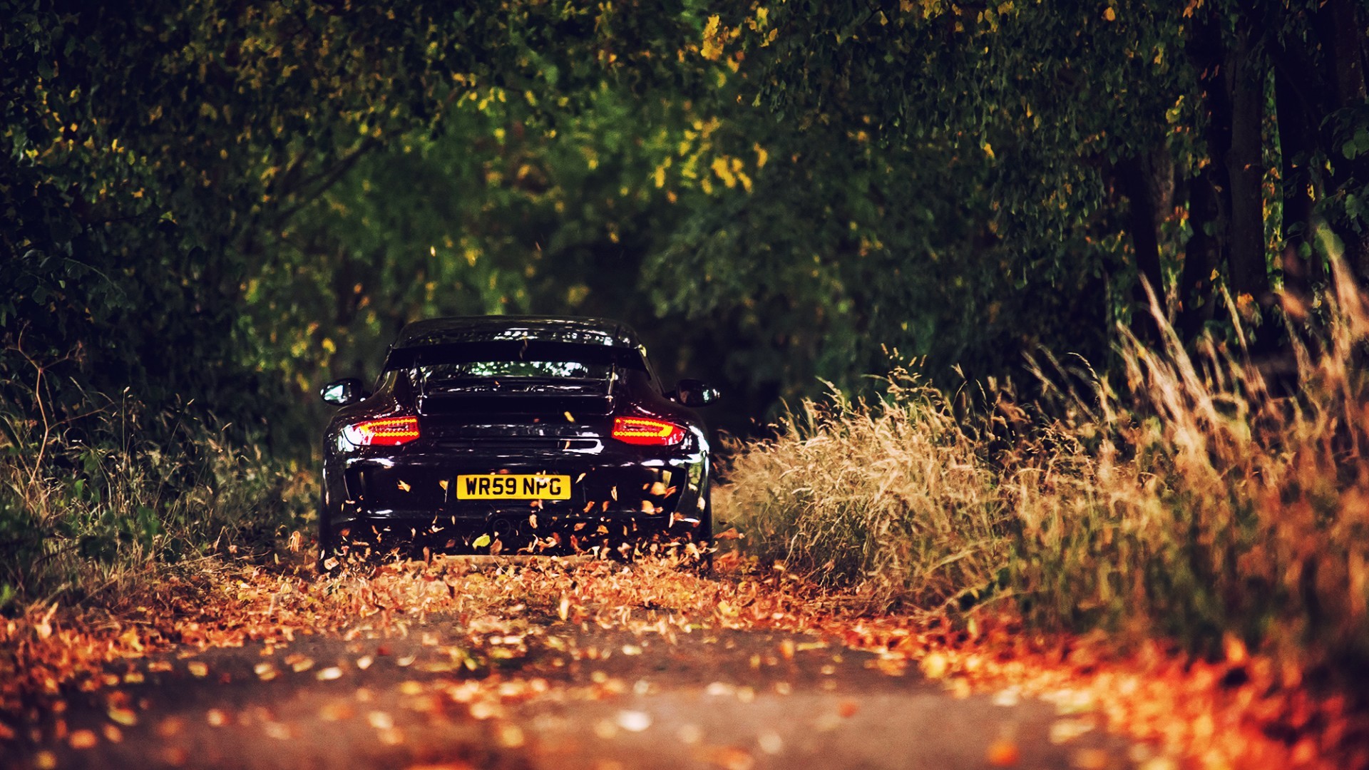 Wallpapers Cars Porsche 